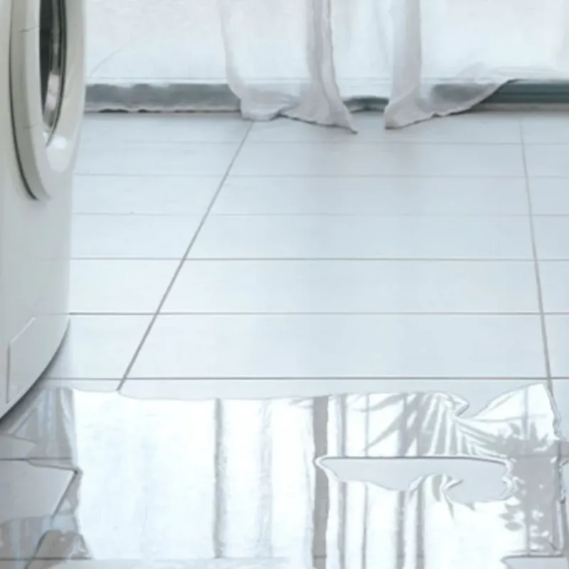 Appliance Leak Cleanup in Santa Susana, CA